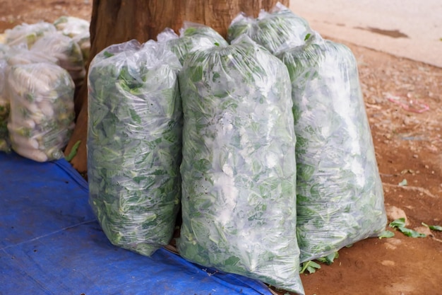 Foto sacos de plástico cheios de calênias frescas da colheita.