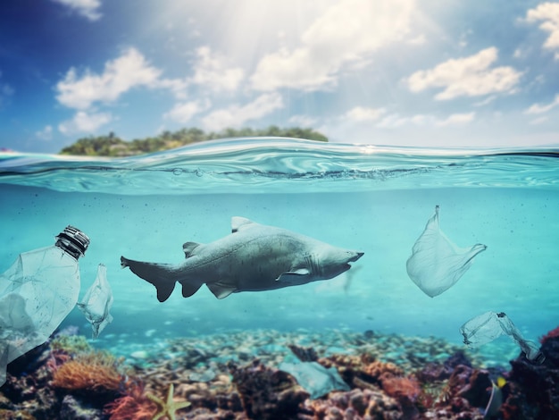 Sacos de plástico e garrafas debaixo d'água no oceano