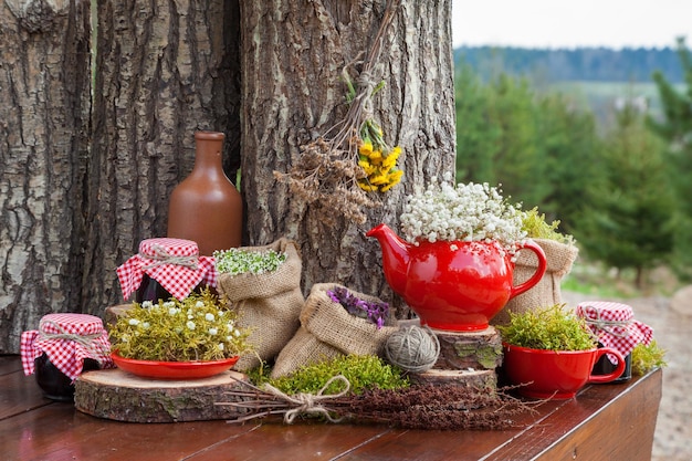 Sacos hessianos com bule vermelho de ervas curativas e potes de geleia saudável floresta no fundo