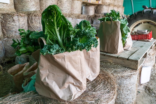 Säcke mit vegetarischem Essen zum Verkauf bereit