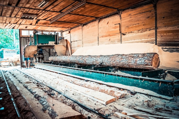 Sägewerk Prozess der Bearbeitung von Baumstämmen in Sägewerksmaschinen sägt den Baumstamm