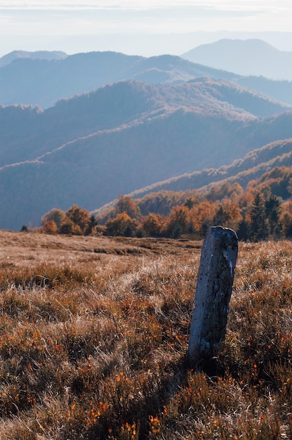 Säule in den Karpaten Schöner Hügel Herbst in den Karpaten