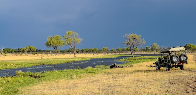 Foto safari en el delta del okawambo