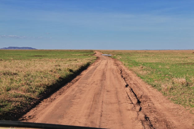 Safari en Kenia y Tanzania, África