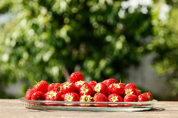 Saftige reife Erdbeeren gegen natürlichen grünen Hintergrund. Ansicht von oben