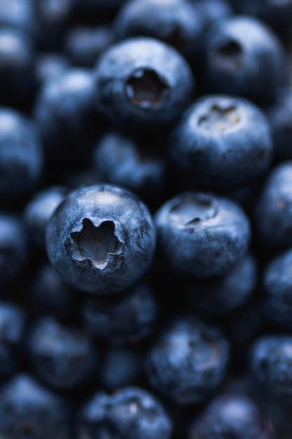 Foto saftige reife heidelbeere. sommerbauernhof beeren ernten.