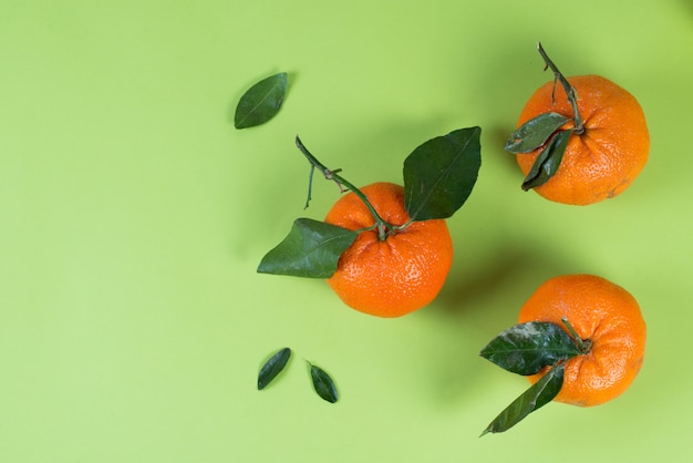 Saftige Sommer-Mandarinen mit Blättern auf einem farbigen grünen Hintergrund