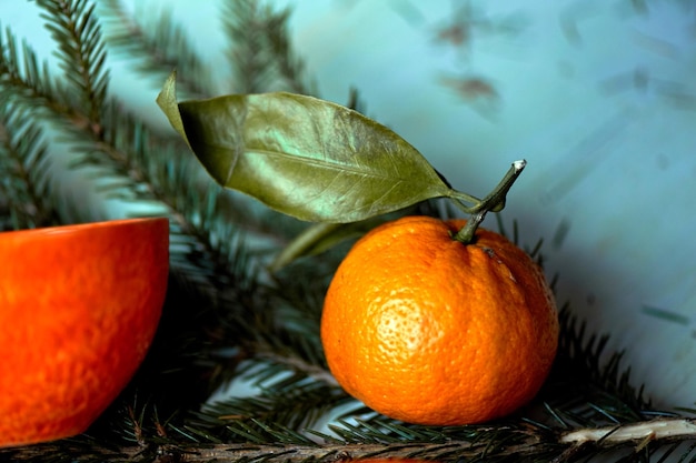 Saftiges Orangenteepaar auf dem Hintergrund von TannenzweigenEin Gefühl von Frische und Vorfreude auf das neue Jahr