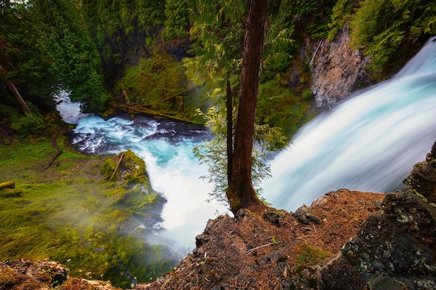 Sahalie Falls am McKenzie River im Willamette National Forest, Oregon