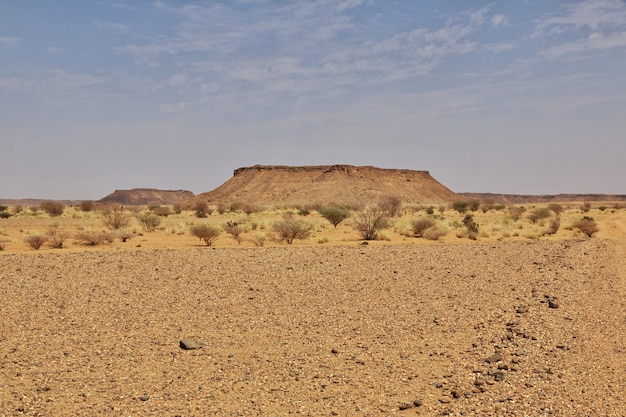 Sahara desierto de Sudán