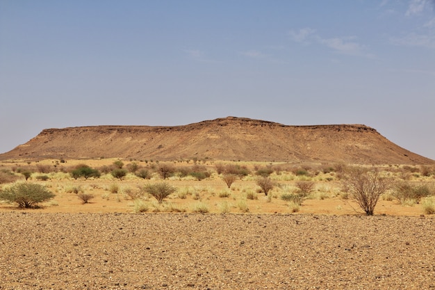Sahara desierto de Sudán