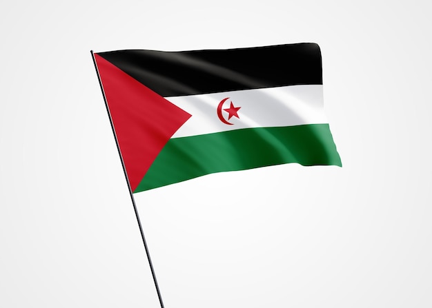 Sáhara Occidental volando alto en el fondo aislado. 27 de febrero día de la independencia del Sáhara Occidental