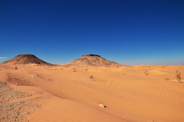 Sahara-Wüste im Herzen Afrikas