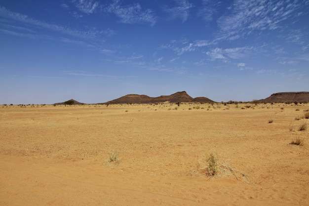 Sahara-Wüste im Sudan