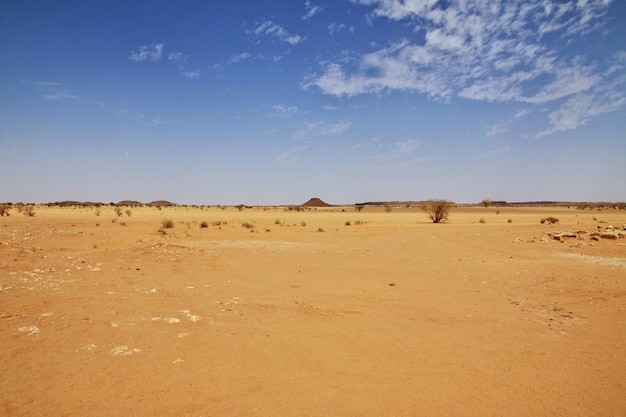 Sahara Wüste im Sudan