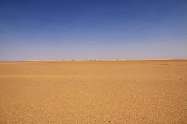 Sahara-Wüste im Sudan