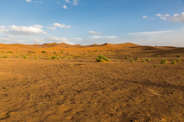 Sahara-Wüste in Marokko