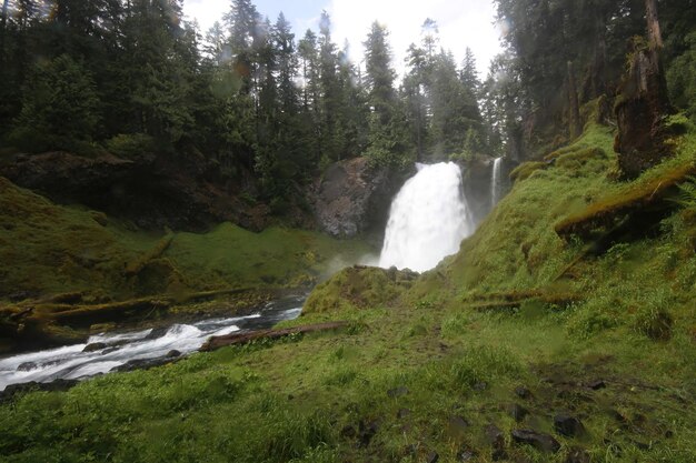 Sahelie cai deschutes wilderness