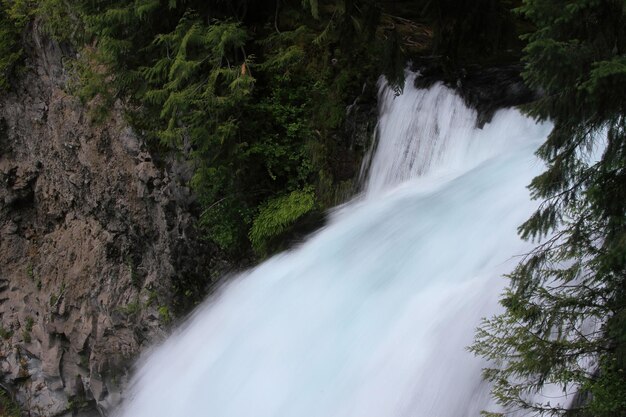 Sahelie Falls Deschutes Wilderness