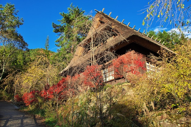 Saiko Iyashi No Sato Nemba, Fuji, Japón