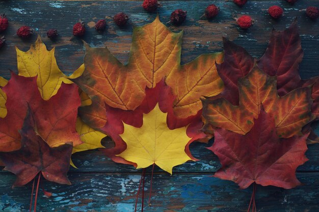 Saisonale Komposition mit Kürbis und Herbstlaub auf rustikalem Holztisch Halloween oder Thanksgiving Dekoration Hintergrund Draufsicht