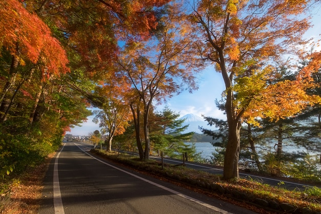 Saisonale Naturlandschaft in der Herbstsaison