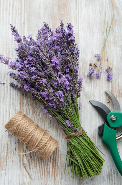 Saisonaler Schnitt von Lavendel