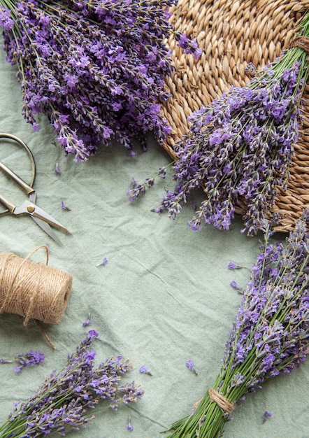 Saisonaler Schnitt von Lavendel