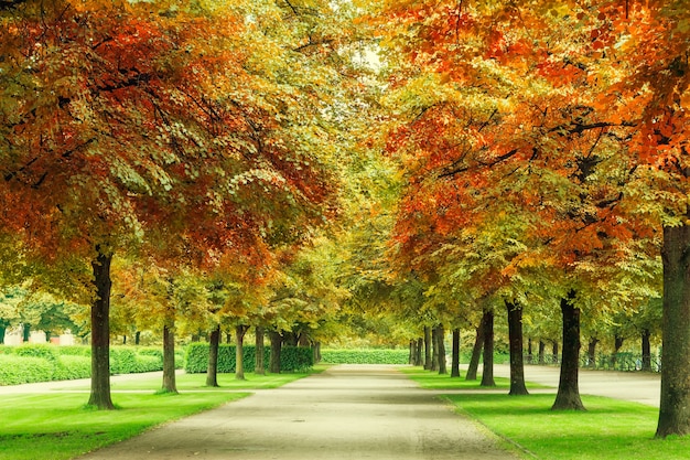 Saisonwechsel im Park. Schöne Bäume und Fußweg.