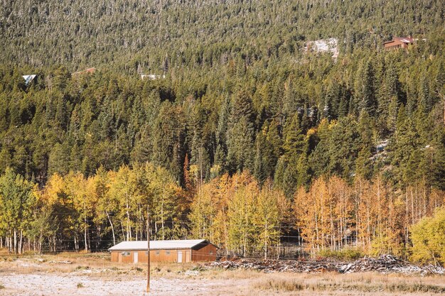 Foto saisonwechsel von herbst auf winter