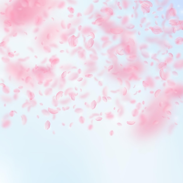 Sakura-Blütenblätter, die herunterfallen Romantische rosa Blumen Farbverlauf Fliegende Blütenblätter auf blauem Himmel quadratischen Hintergrund Liebe Romantik-Konzept Wunderbare Hochzeitseinladung