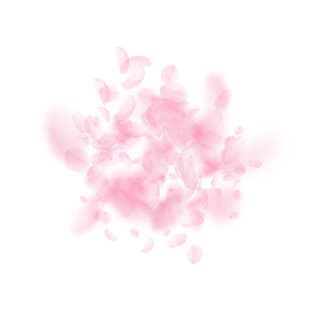 Sakura-Blütenblätter, die herunterfallen Romantische rosa Blumenexplosion Fliegende Blütenblätter auf weißem quadratischem Hintergrund Liebesromanze-Konzept Faire Hochzeitseinladung