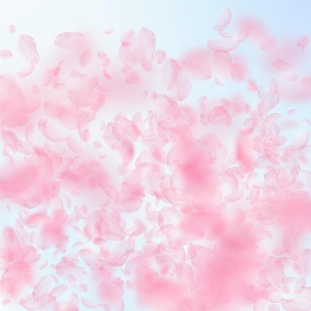 Sakura-Blütenblätter, die herunterfallen Romantischer rosa Blumenfarbverlauf Fliegende Blütenblätter auf quadratischem Hintergrund des blauen Himmels Liebesromantikkonzept Bemerkenswerte Hochzeitseinladung