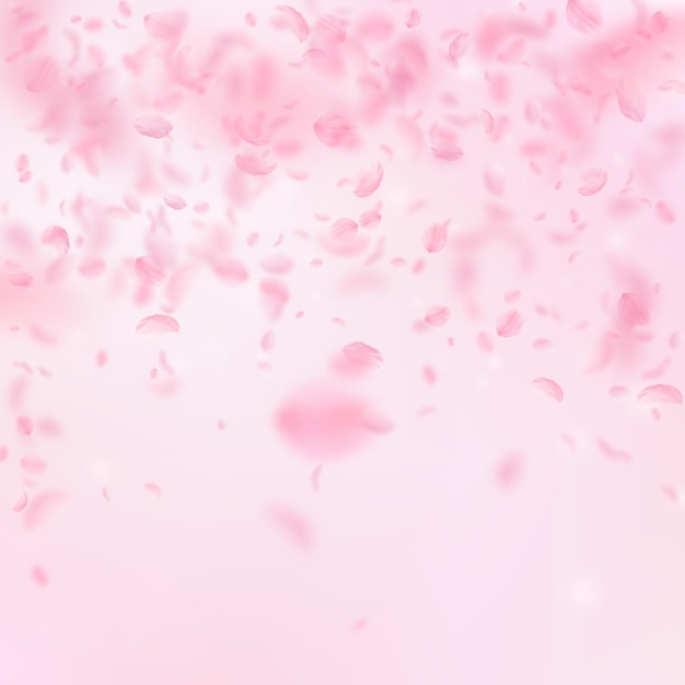 Sakura-Blütenblätter fallen herunter. Fallender Regen der romantischen rosa Blumen. Fliegende Blütenblätter auf rosa quadratischem Hintergrund. Liebe, Romantikkonzept. Große Hochzeitseinladung.