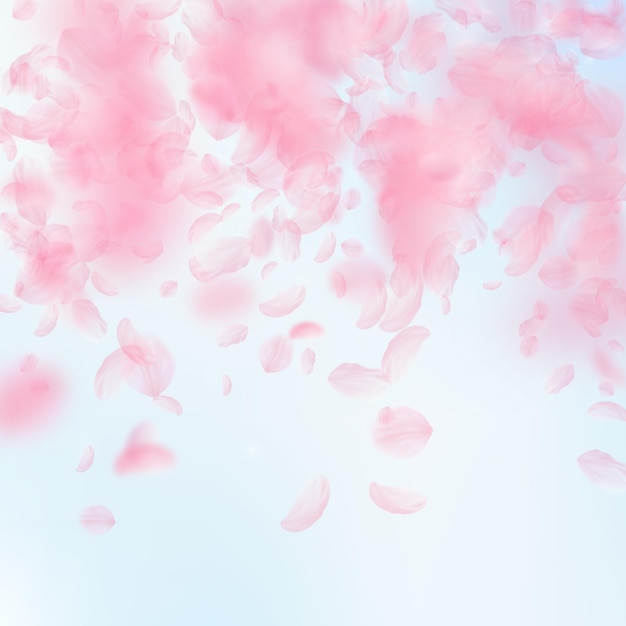 Sakura-Blütenblätter fallen herunter Romantische rosa Blumen fallender Regen Fliegende Blütenblätter auf quadratischem Hintergrund des blauen Himmels Liebesromanze-Konzept Außergewöhnliche Hochzeitseinladung