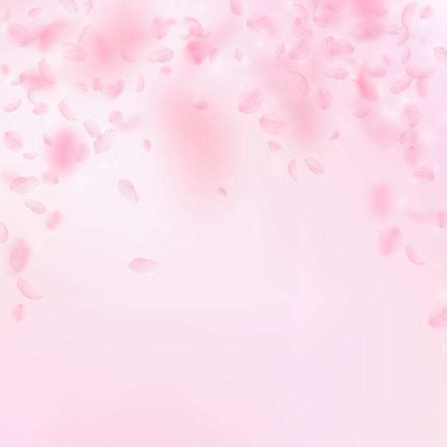 Sakura-Blütenblätter fallen herunter Romantische rosa Blumen fallender Regen Fliegende Blütenblätter auf rosa quadratischem Hintergrund Liebesromantik-Konzept Saftige Hochzeitseinladung