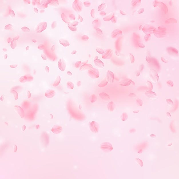 Sakura-Blütenblätter fallen herunter. Romantische rosa Blumensteigung. Fliegende Blütenblätter auf rosa quadratischem Hintergrund. Liebe, Romantikkonzept. Bezaubernde Hochzeitseinladung.