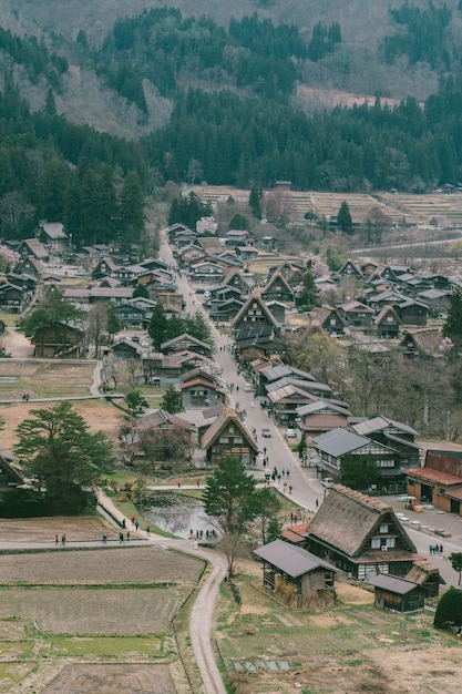 Foto sakura-kirschblütenzweig mit shirakawago-dorfhintergrund im frühling