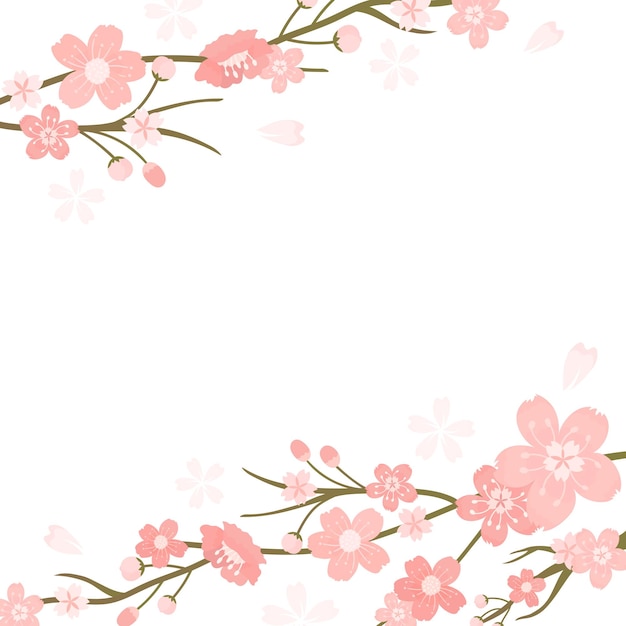 Sakura png fundo transparente Festival de Hanami