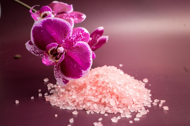 Sal de baño rosa con flor de orquídea sobre fondo vinoso. Foto de alta calidad