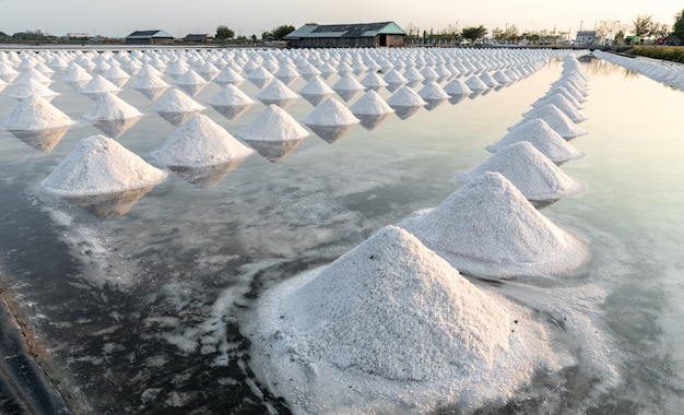 Sal cru em samut songkhram tailândia