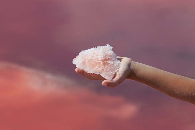 Sal rosa única en la palma del niño por encima de la superficie del agua de un lago rosado salado