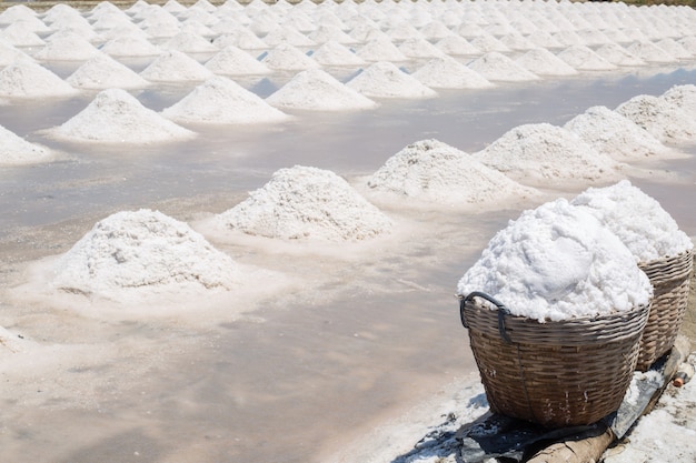 Sal seca de la materia prima en Tailandia.