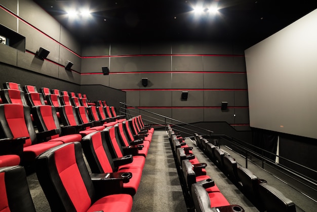 La sala de cine. Dentro