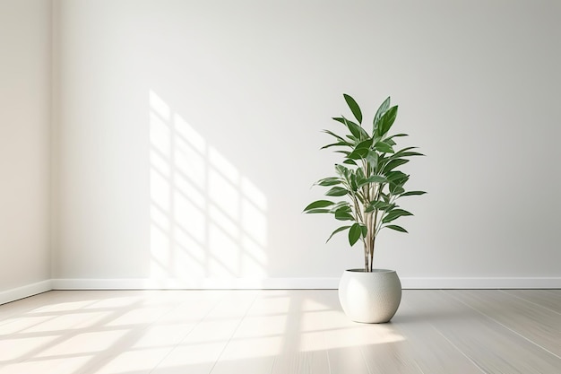 sala de estar minimalista vazia com planta verde