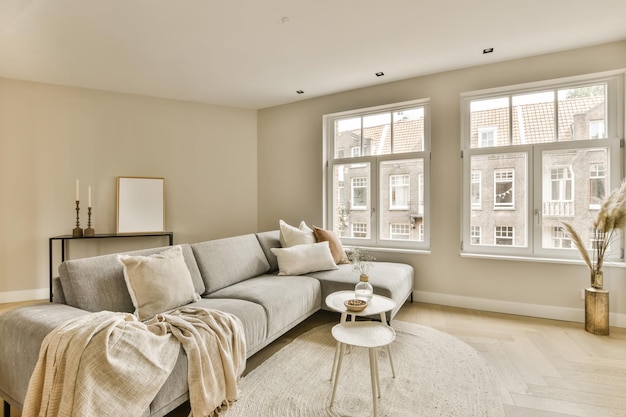 una sala de estar con un sofá gris y una alfombra