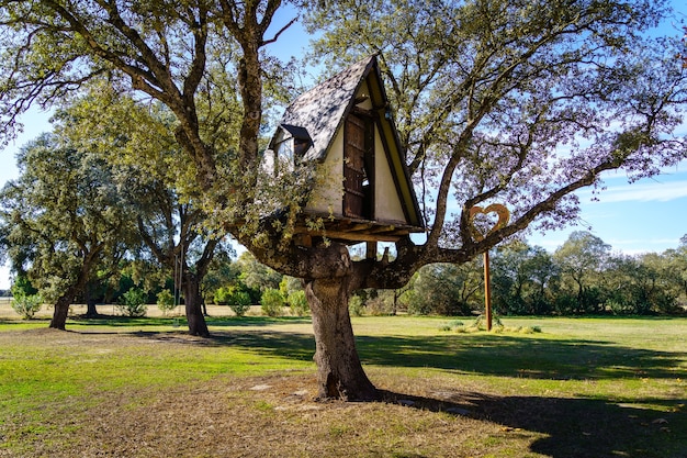 Sala de juegos para niños en lo alto de un gran árbol. España.