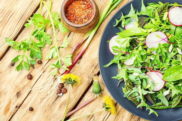 Salada com ervas e rabanetes