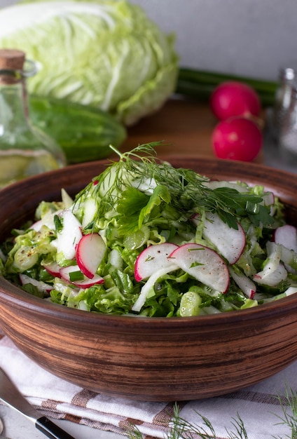 Salada com repolho chinês pepino rabanete e cebolinha temperada com azeite