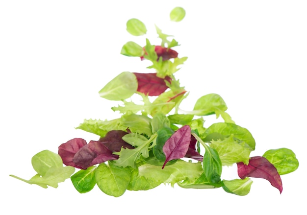 Salada de alface com folhas verdes frescas isolada na superfície branca